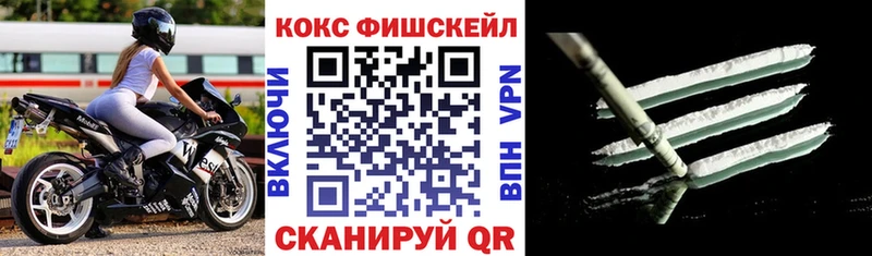 где найти наркотики  Советск  COCAIN 97% 
