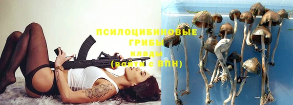 шишки Абдулино