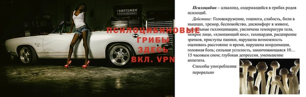 шишки Абдулино