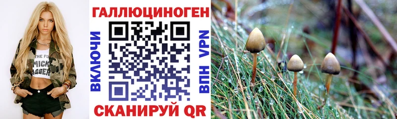 Псилоцибиновые грибы Psilocybe  наркотики  Советск 